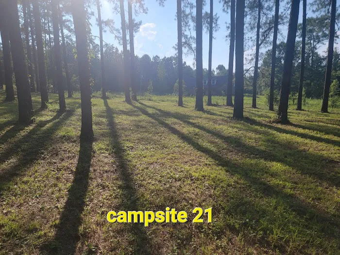 Missihippie Camping and Berries Picture 5