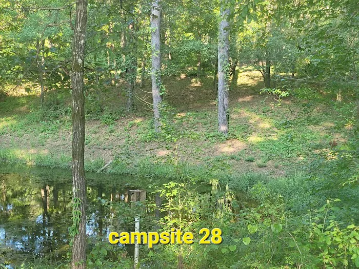 Missihippie Camping and Berries Picture 10