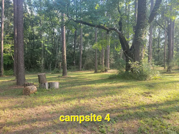 Missihippie Camping and Berries Picture 6