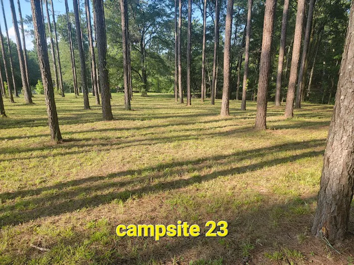 Missihippie Camping and Berries Picture 7