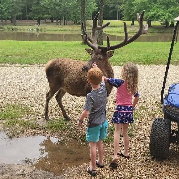Magnolia RV Park and Family Campground Picture 2