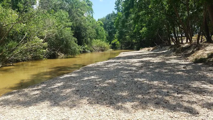 Magnolia RV Park and Family Campground Picture 5