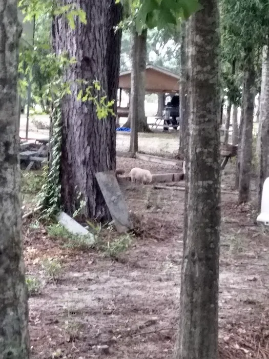 Magnolia RV Park and Family Campground Picture 7