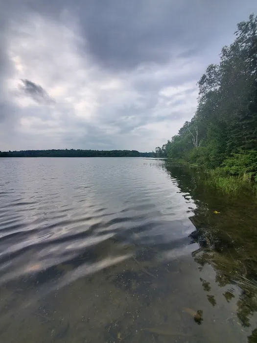 Mantrap Lake Campground Picture 2