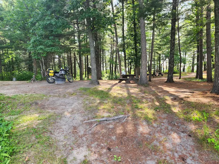 Hungryman Forest Campground Picture 1