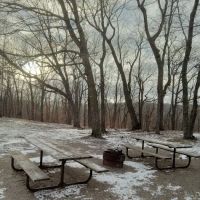 Maplewood Group Camp ico