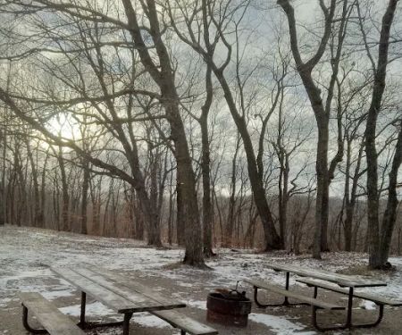 Maplewood Group Camp