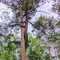 Clubhouse Campground ico