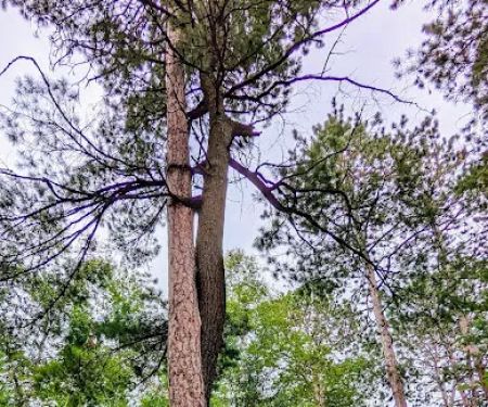 Clubhouse Campground