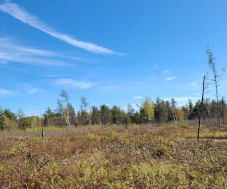 Cut Foot Sioux Horse Camp
