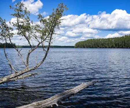 Chase Point Campground