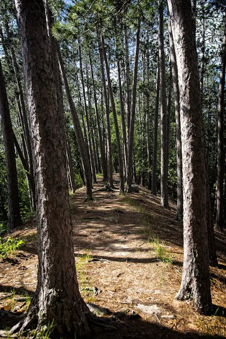 Chase Point Campground Picture 4