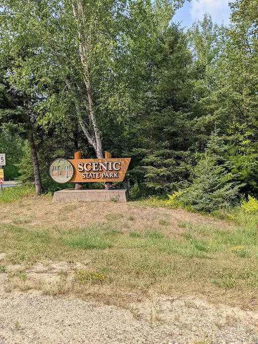 Chase Point Campground Picture 8