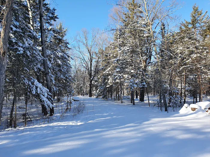 Chase Point Campground Picture 10