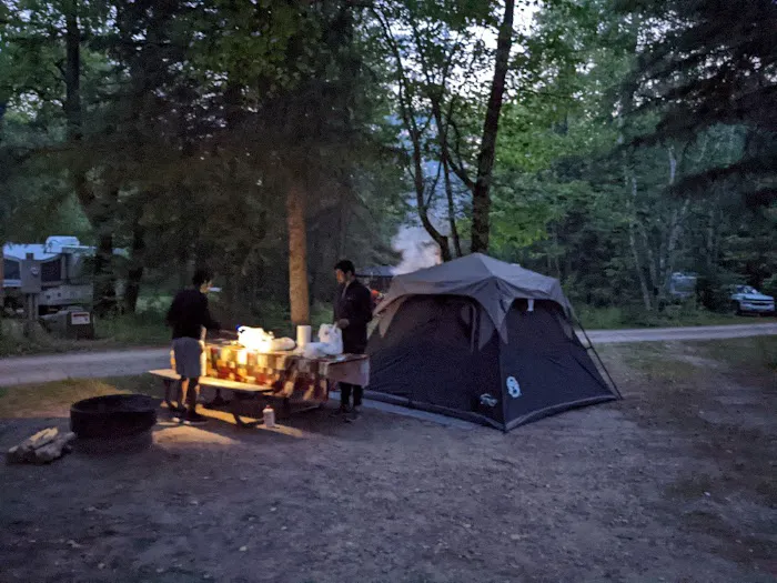 Chase Point Campground Picture 7