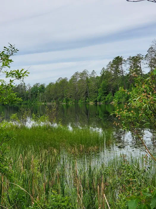 Bass Lake Campground Picture 9