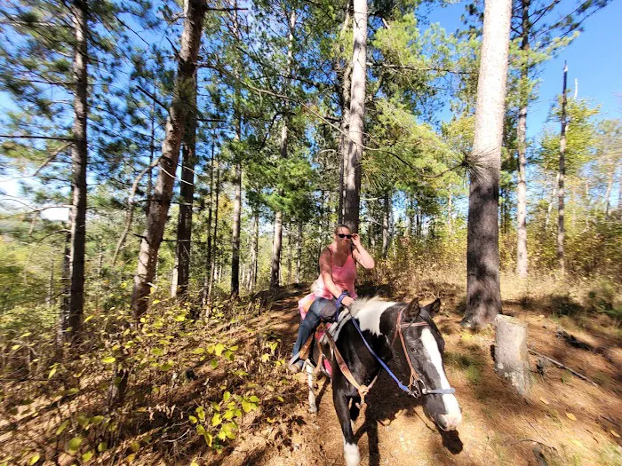 Togo Horse Campground, MNDNR Picture 4