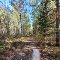 Togo Horse Campground, MNDNR ico