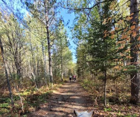 Togo Horse Campground, MNDNR