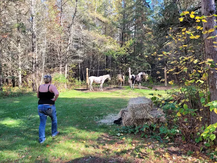 Togo Horse Campground, MNDNR Picture 9