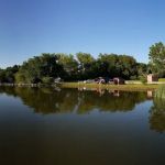 Area Eleven Campground