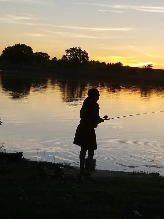 Area Eleven Campground Picture 7