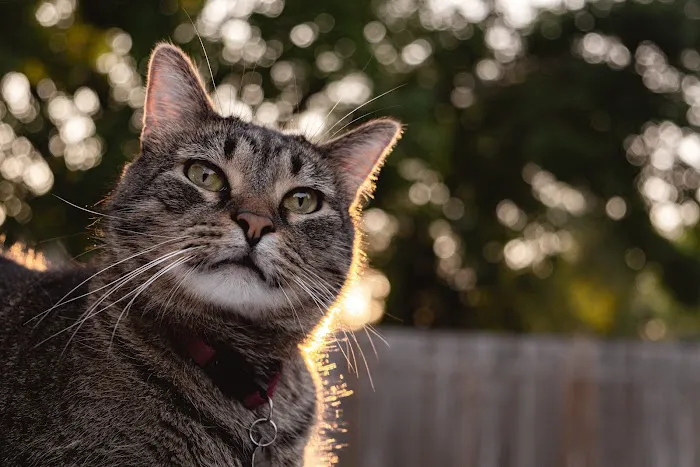 Area Ten Campground Picture 7