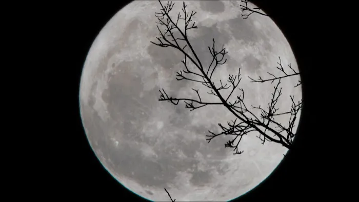 Equestrian Camp Picture 7