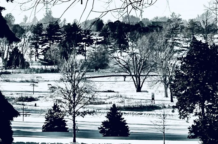 Homestead Campground Picture 6