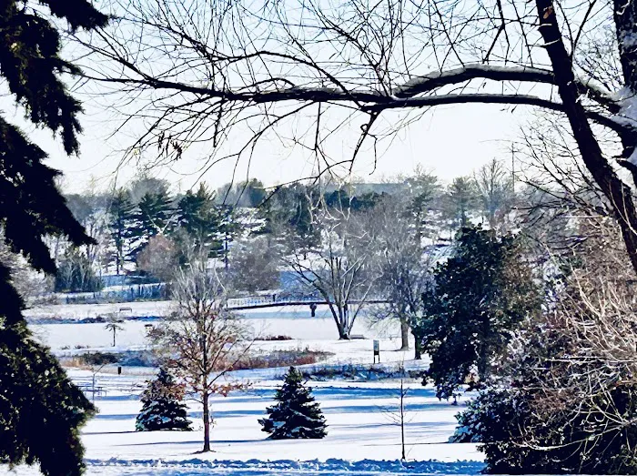 Homestead Campground Picture 1