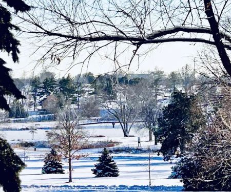 Homestead Campground