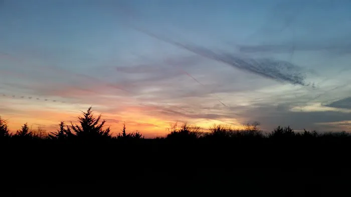 Long O Ranch Picture 5