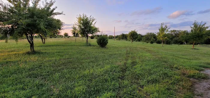 Long O Ranch Picture 3