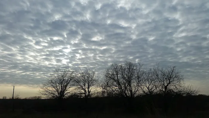 Long O Ranch Picture 2