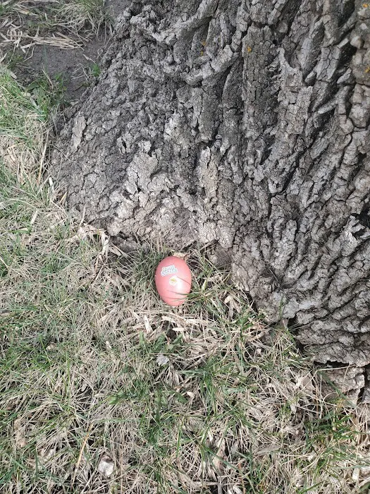 Prairie Pasque Campground Picture 9