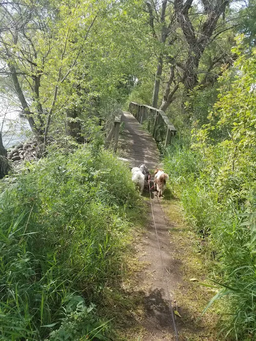 Memorial Park Camping Area Picture 5