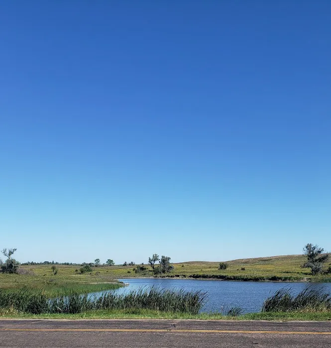 Memorial Park Camping Area Picture 6