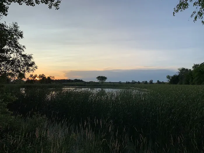 Memorial Park Camping Area Picture 8