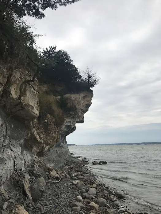 Bloomfield Campground - Lewis and Clark SRA Picture 7