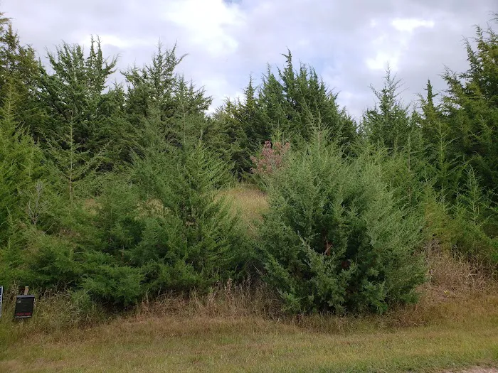 Miller Creek Campground - Lewis and Clark SRA Picture 8