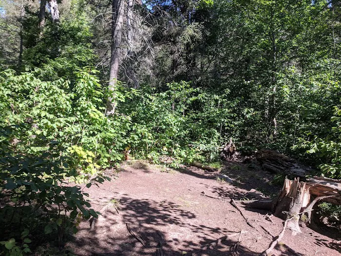 Horseshoe Ridge Camp Picture 1