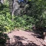 Horseshoe Ridge Camp