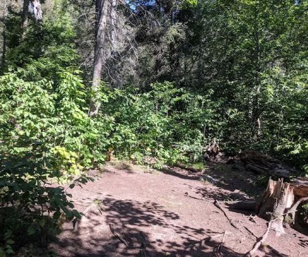 Horseshoe Ridge Camp