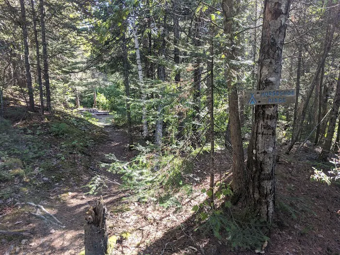 Horseshoe Ridge Camp Picture 3