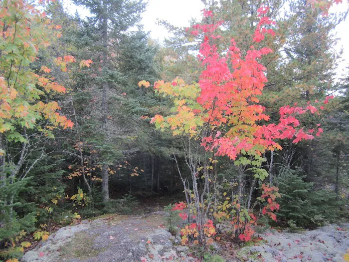 Horseshoe Ridge Camp Picture 4