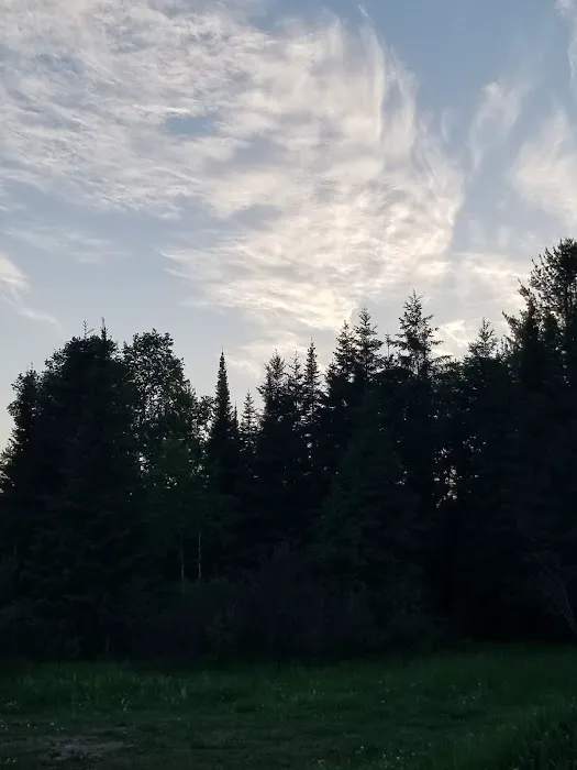 Harriet Lake Rustic Campground Picture 9