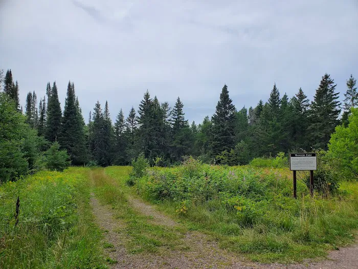 Harriet Lake Rustic Campground Picture 7