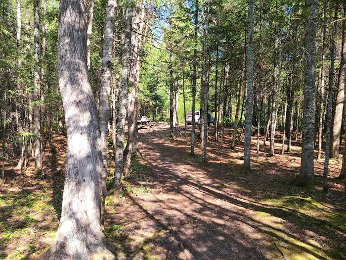 Ninemile Lake Campground Picture 9