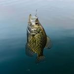 Wilson Lake Rustic Campground