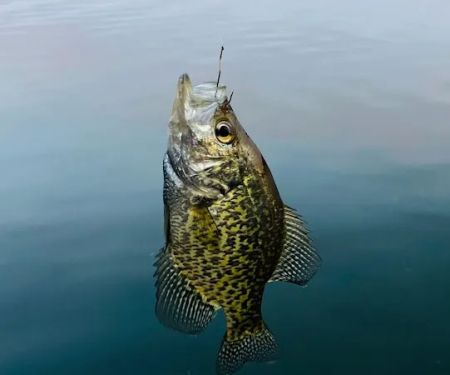 Wilson Lake Rustic Campground